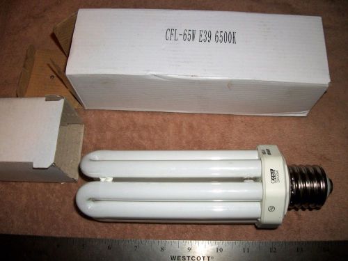 Feit PLF65/65 65-watt Quad Mogul Base Daylight!