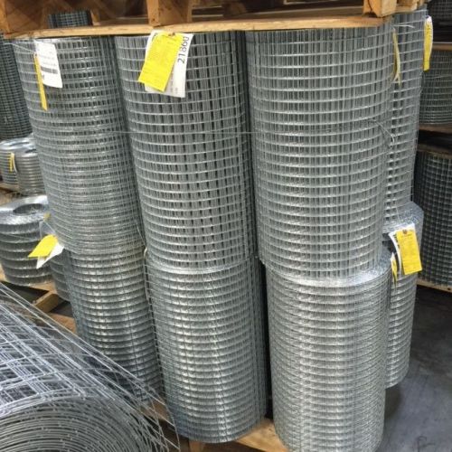 1x1&#034; 16G 24&#034;x100&#039; Galvanized Welded Wire Mesh Rolls (GAW)