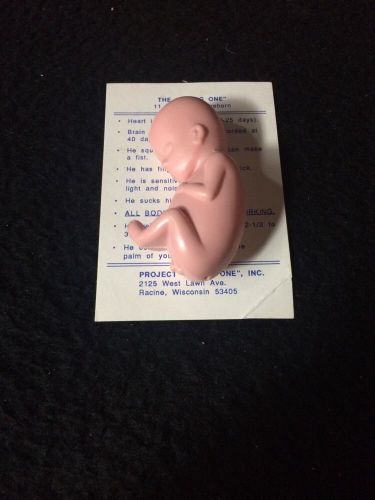 11-12 Week Life Size Fetus Anatomical Model Pregnancy Fetal Baby