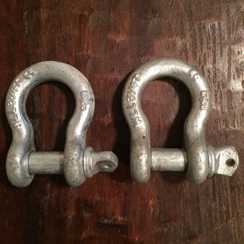 2 Screw Pin Anchor Shackles, 5/8&#034;, 3 1/4 Ton