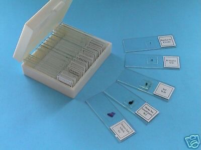 New Professoinal 25pcs Glass Prepared Slides 4 Kids Gift