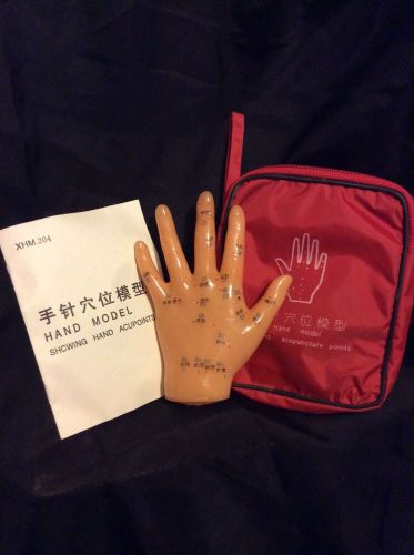 ANATOMY MANNEQUIN SERIES BODY PART HAND ACUPUNCTURE MODEL MASSAGE (XC509 1.8)