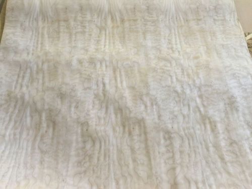 Wood veneer quilted maple 48x48 1 piece 10mil paper backed &#034;exotic&#034; 0917 # 4 for sale