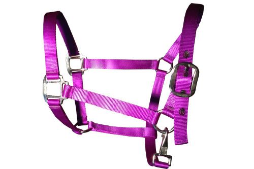 Blue Creek - Purple -Nylon Halter Quarter Horse