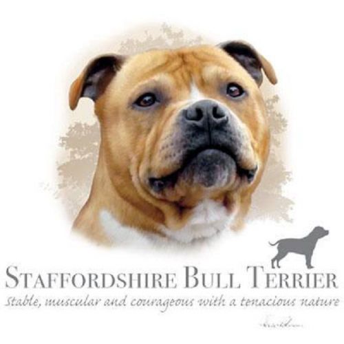 Staffordshire bull terrier dog heat press transfer for t shirt sweatshirt 912b for sale