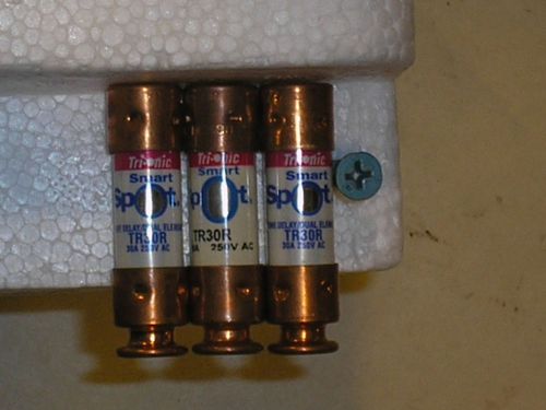 (lot of 3)tr30r shawmuttrionic smartspot dualelement timedelay rk5 fuse 20a 250v for sale