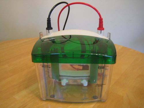 BIO-RAD Mini-PROTEAN Tetra Gel Electrophoresis System