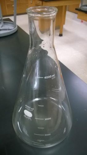 4000 mL Erlenmeyer Flask Pyrex No. 4980