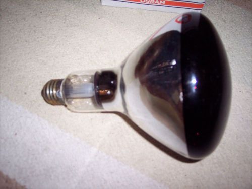 4 RED heat lamp bulbs 250 watt 220 -230 volt 125 watt 120 volt works on both