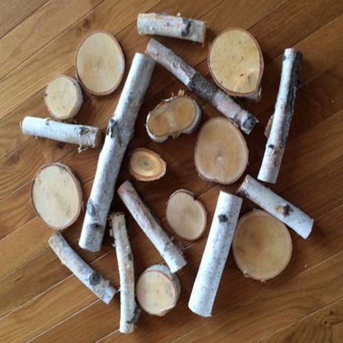 20pc White Birch Grab Bag