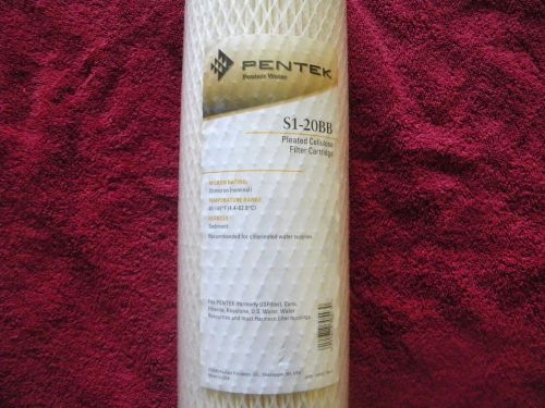 PENTEK Pleated Cellulose Filter Cartridge S1-20BB