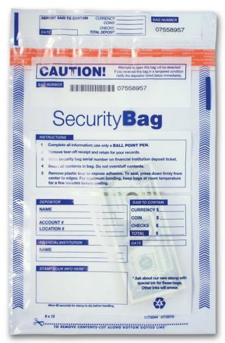 Bank Deposit Bag - Large Clear Single Pocket