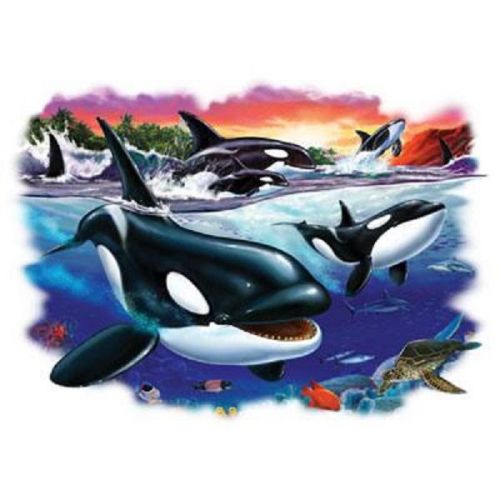 Orca whale &amp; babies heat press transfer for t shirt tote sweatshirt quilt  549ha for sale