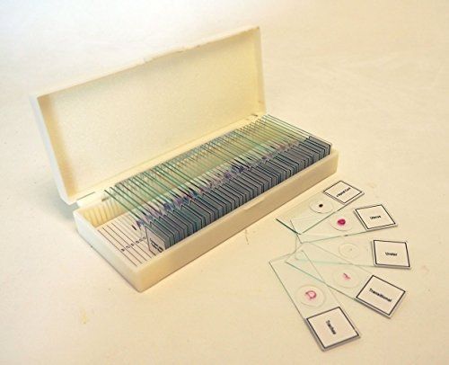 Mhb 50 piece mammalian histology prepared slide set for sale