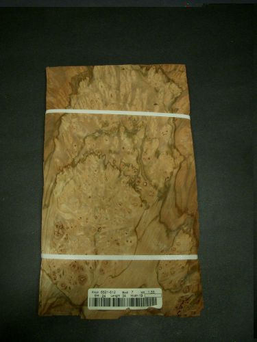 Pimento Burl Nogal Wood Veneer Raw 7 1/2 &#034; x 13&#034; - 34 mm x 19 1/2 mm EACH SHEET