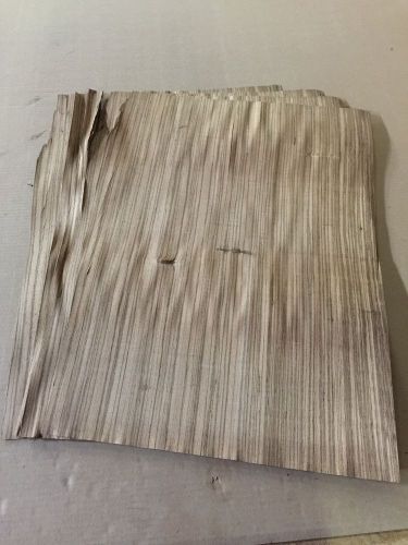 Wood Veneer Zebrawood 16x24 10 Pieces Total Raw Veneer &#034;EXOTIC&#034; ZE1 1-8-15