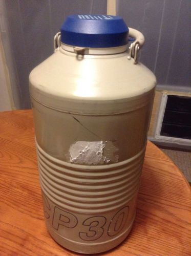 Taylor Wharton Dewar LN2/cryovial  Storage Liquid Nitrogen P30 Canister