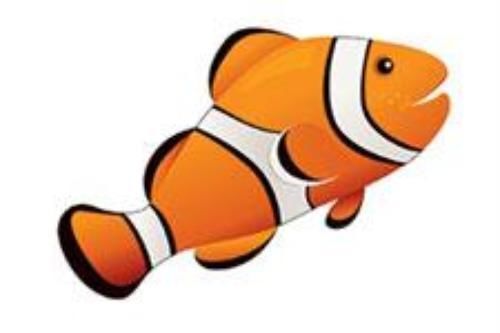 Ashley Productions Clownfish 3-1/2&#039;&#039; Magnetic Whiteboard Eraser