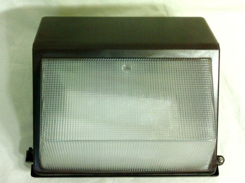 Designers Edge L-1788 ECOZONE 126-Watt Fluorescent Flood Light