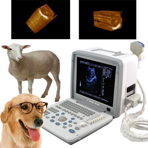 Veterinary VET 3D Full Digital Portable Ultrasound Scanner convex 3D workstation