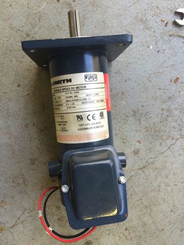 AO Smith 1/4 Hp Variable DC Motor 22200200