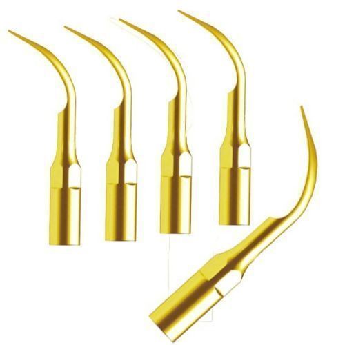 5PCS  Dental Scaling Tips GD2T Fit DTE Satelec NSK Ultrasonic Scaler Handpiece