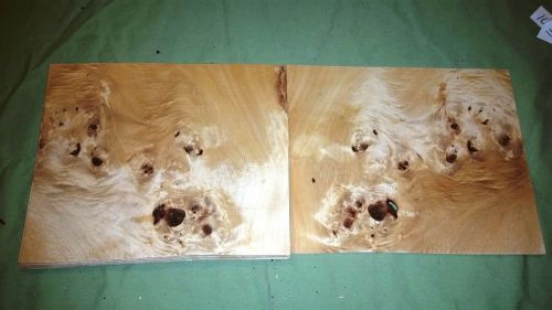 Mappa Burl leafs @ 11 x 9.5 wood veneer (v1669)