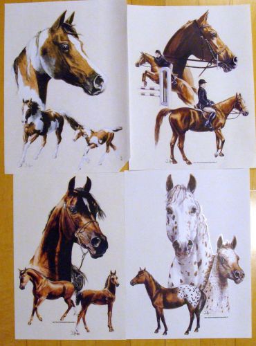 Horses Stallions Wild Horses Heat Transfers High Def Series of 4 - ONE DOZEN