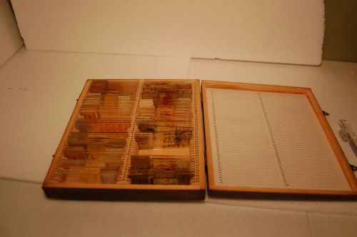 VINTAGE BOX OF UNIVERSITY OF MINNESOTA ZOOLOGY SLIDES 75 IN ALL