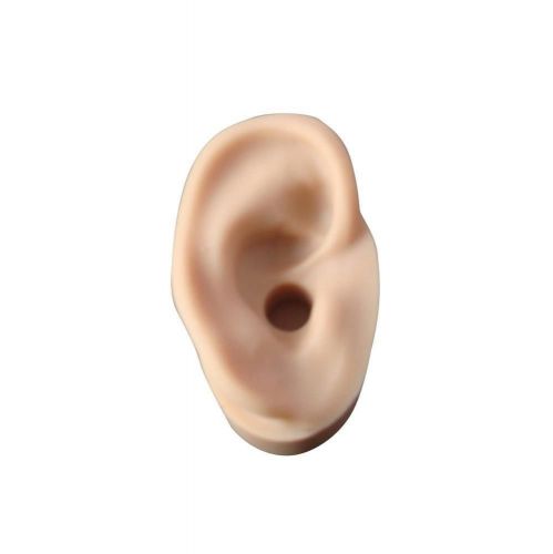 Soft silicone ear display models left for acupuncture sample show -left for sale
