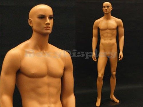 Fiberglass Male Manequin Manikin Mannequin Display Dress Form #MD-HAM25