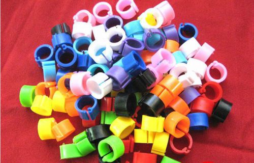 100PCS Bird Leg Bands 8mm Pigeon Chicks Bantam Poultry Rings Ten colors 8MM