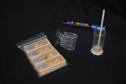 Queen Bee Marking Kit, Queen Catcher, Queen Cages, Marker, Marking Tube