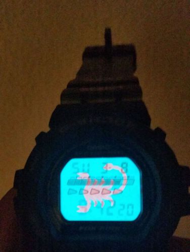 G-SHOCK - DW-6620-6 (a.k.a Purple Scorpion) - Vintage/Rare