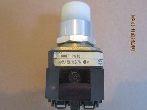 New Allen Bradley 800T-PA16 Illuminated Push Button Series T