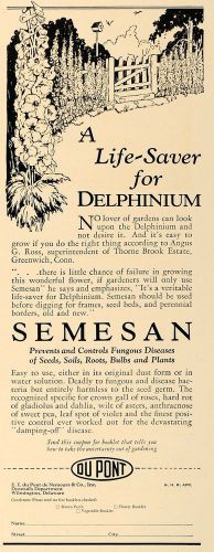 1927 ad delphinium du pont semesan thorne brook estate - original ghb1 for sale