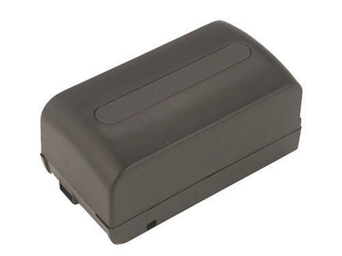 Battery-Biz Inc. 6 Volt NiMH Camcorder Battery