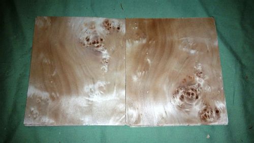 Mappa Burl leafs @ 6.5 x 5.5 wood veneer (v1670)