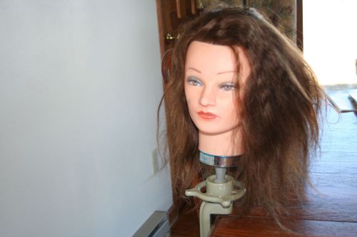Mannequin for Fun &amp; Hairstyling Practice with mounting bracket