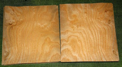 20 leafs of ash burl @ 5.5 x 5 wood veneer  #v1227 for sale