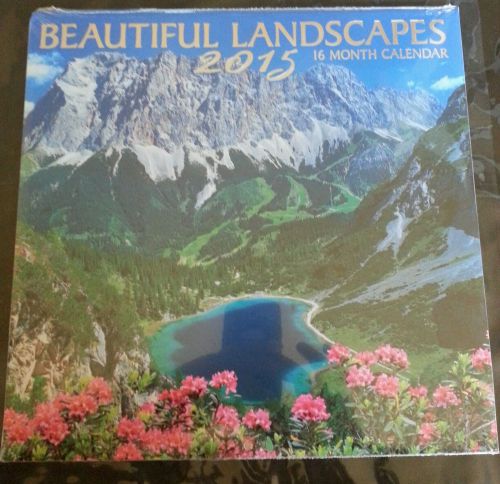 16 Month 2015 Wall Calendar Beautiful Landscapes 12 x 11 New