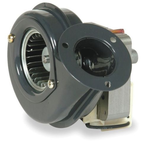 DAYTON 1TDN1 Shaded Pole Blower,115 Volt