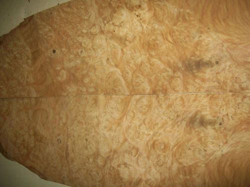 Chestnut burl veneer 8 @ 6.5 x 25 [1330 for sale