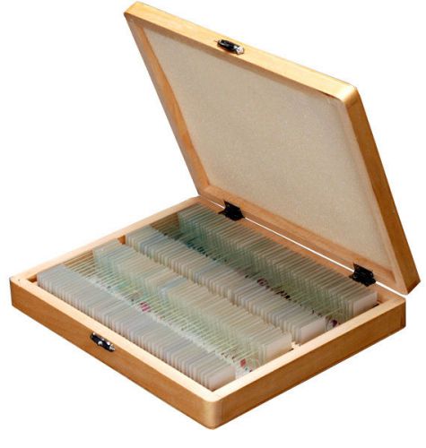 100 homeschool biology prepared microscope slides - set e for sale