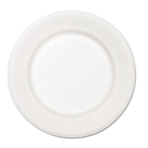 Chinet 10&#034; Paper Plates - HUHVENTURECT