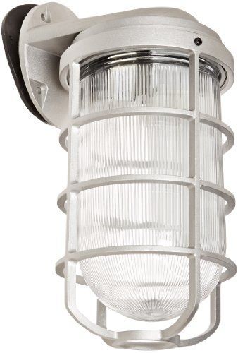 Rab lighting vbr200dg/f22 vaporproof glass globe cast guard compact fluorescent for sale