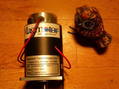 New Magmotor Technologies 500280024 C33-E-300F DC Motor