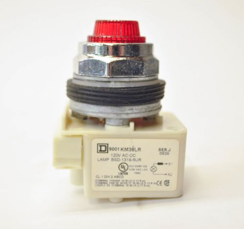 Schneider Electric Square D 9001KP38LRR31 Standard Indicating Red Pilot Light