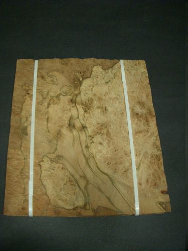 Pimento Burl Wood Veneer Raw 9 1/2 &#034; x 11&#034; - 28 mm x 25 mm ONE SHEET