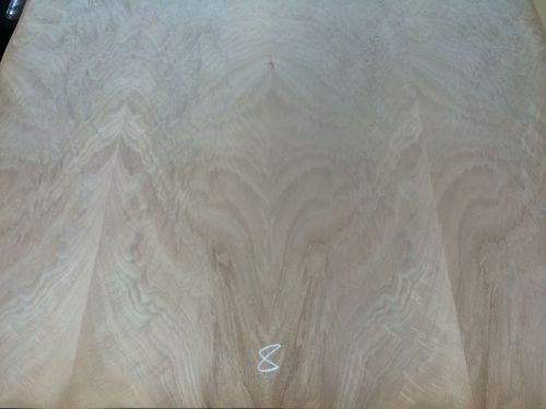 Wood veneer crotch okoume 48x39 1pcs total 20mil paper backed &#034;exotic&#034; crlm8 for sale